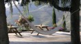 /album/vale-do-douro/a28999568-jpg/