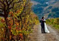 /album/casamentos/vinicola-no-vale-douro-jpeg/