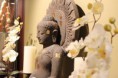 /album/spa/the-buddha-jpg/